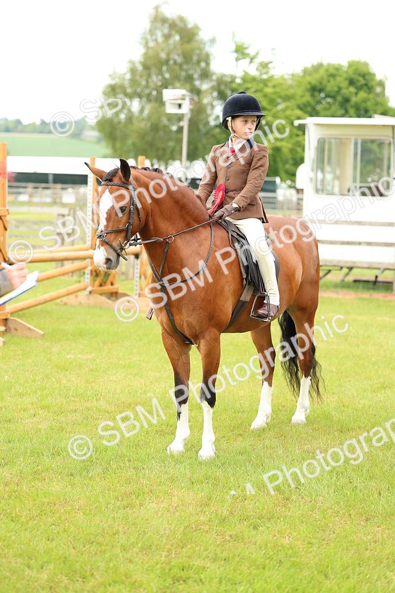 SBM_10400 - Class 44-45 - LIHS BSPS Open Nursery and Cradle Stakes