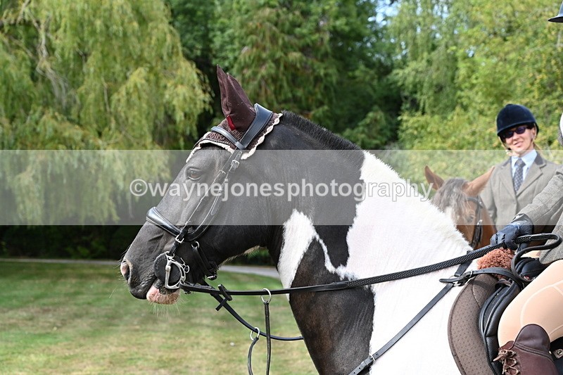 WJ6_3252 - Berks & Bucks - The Old farmhouse - Hound Exercise 20-08-25