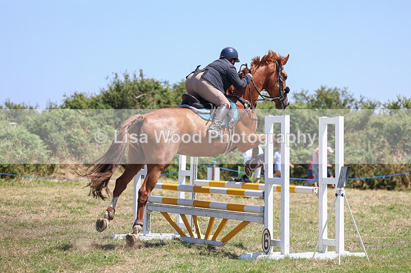 3E7A4427 - Class 10: Senior British Novice/90cm open