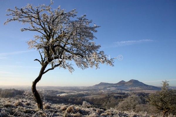 63 - SCOTTISH BORDERS