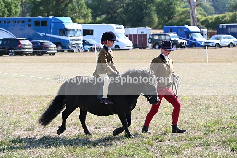 WJ6_7433 - Class 34 Judges Choice