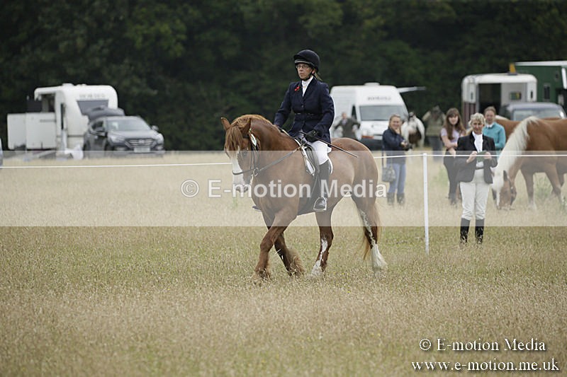B230619-0315 - Bourne Valley Riding Club Summer Show 23/06/19