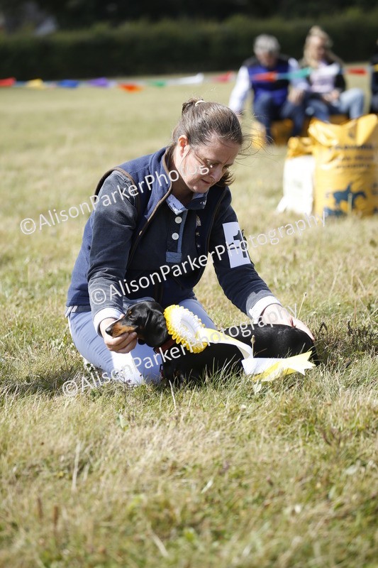 20250831-3817 - Dog Show