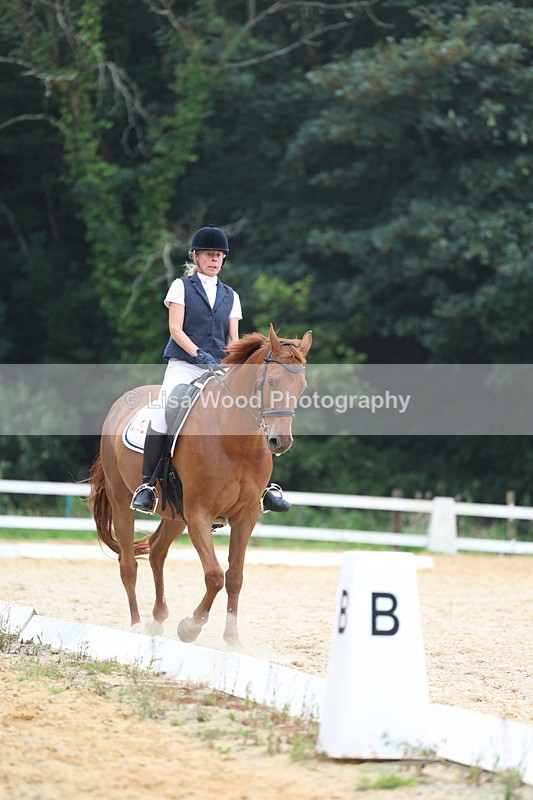 3E7A7433 - Class 9: Elementary 4 2024 - No sections