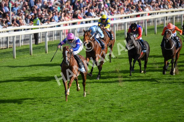 240823-Race 7-Nigiri-0861 - Race 7 5.20pm British EBF 40th Anniversary Fillies' Handicap