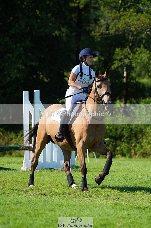 240811A-162016-06255 - 461-