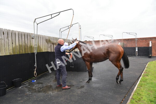 yr20082021r3-47 - Race 3 3.00pm Al Basti Equiworld Dubai Gimcrack Stakes