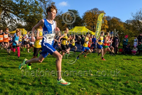 NatRel25-813744 - Young Male Set One