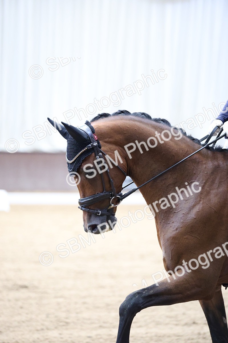 SBM_002200 - Class 5 - Novice 6 Gold - 9.00-10.10