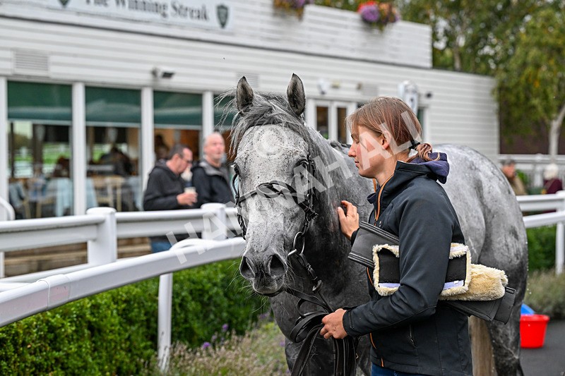 011025-Race 6-Mudamer-0689 - Race 6