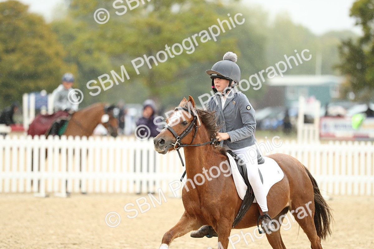 SBM_70440 - J15 - Junior Pony 70cm Championship