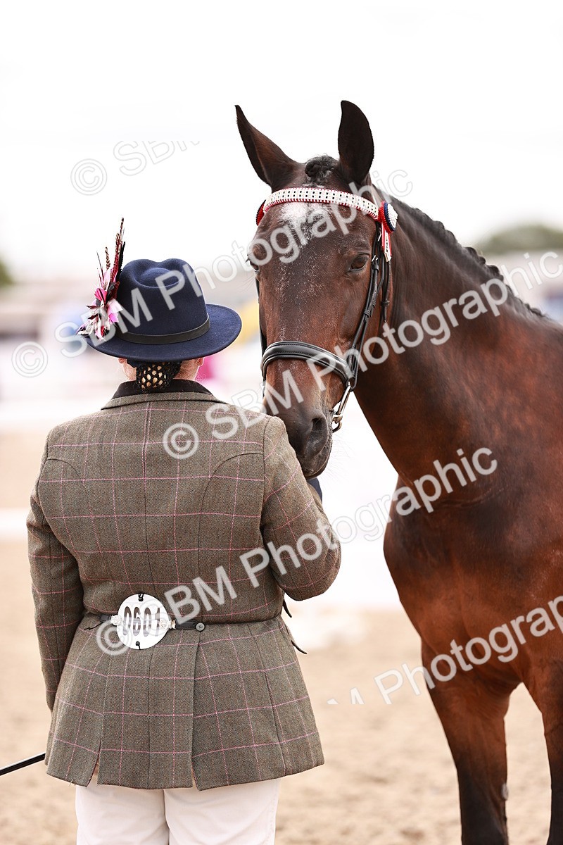 SBM_16352 - Class 413 - Best Condition - Adult