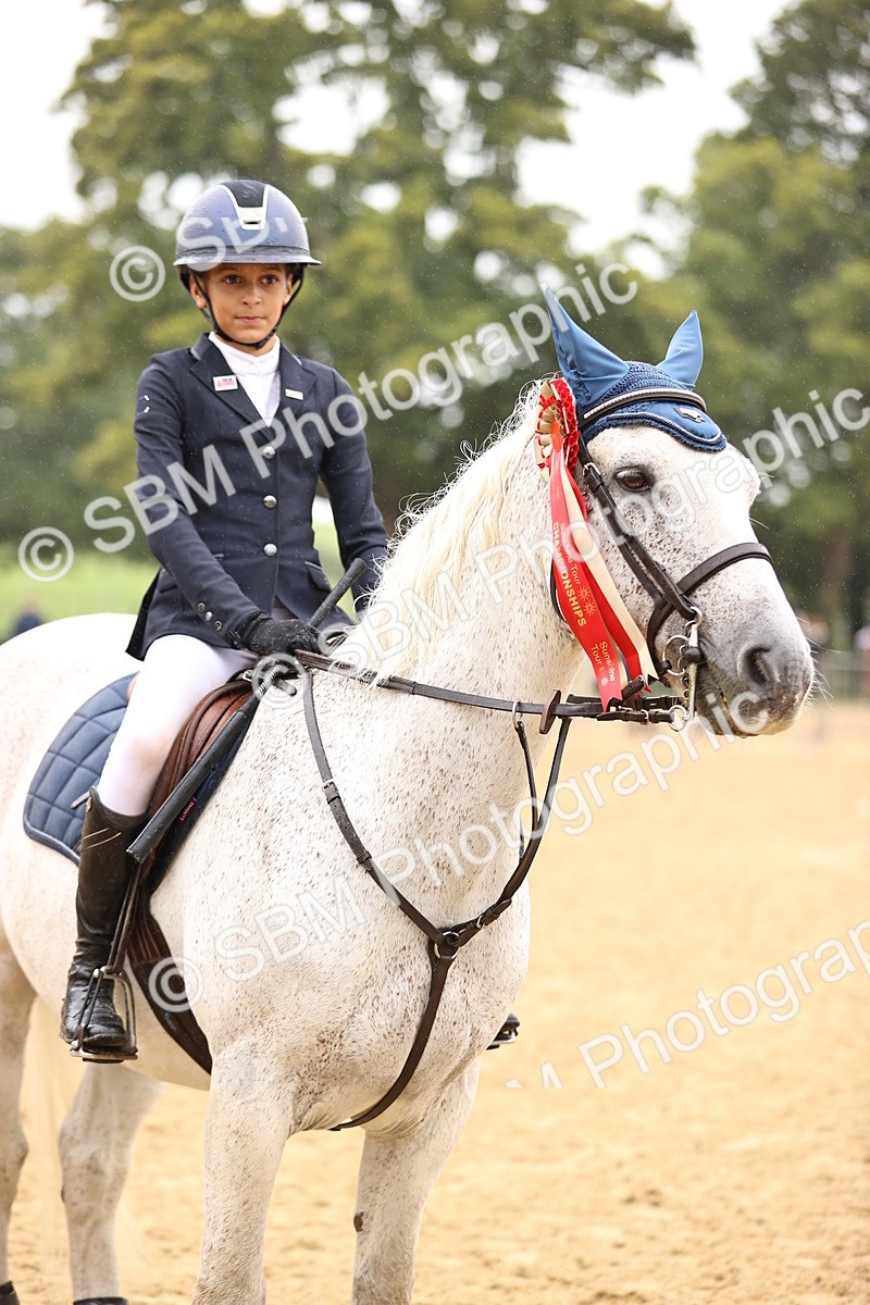 SBM_70100 - Supreme Championship 80cm 85cm