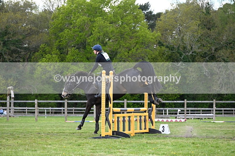 DSC_0941 - Time 14:42 to 15:02