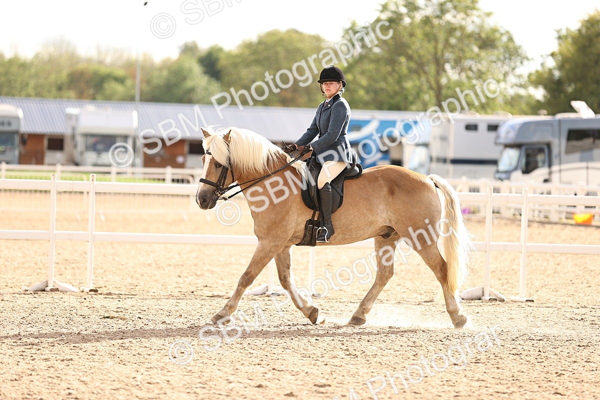 SBM_18227 - Class 423 - Equitation (best rider) Adult