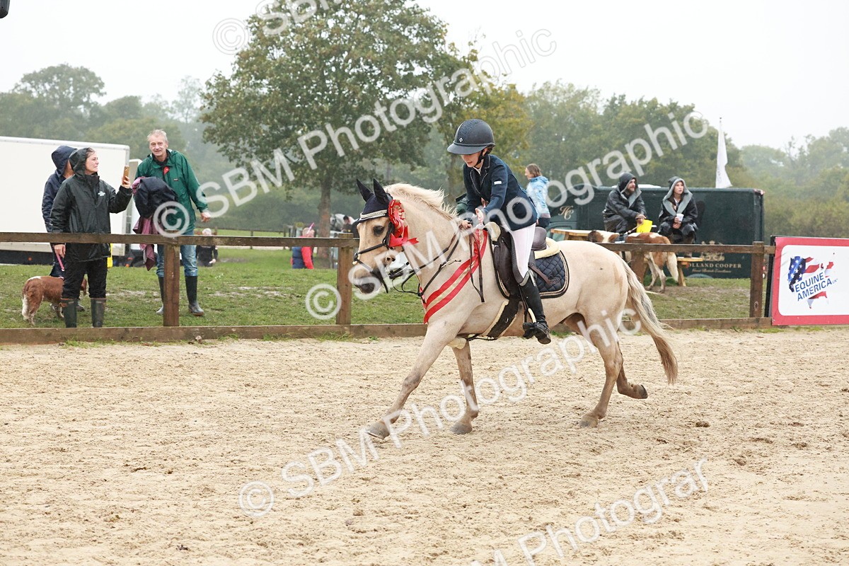 SBM_73657 - Supreme Championship Junior Pony 60cm & 65cm
