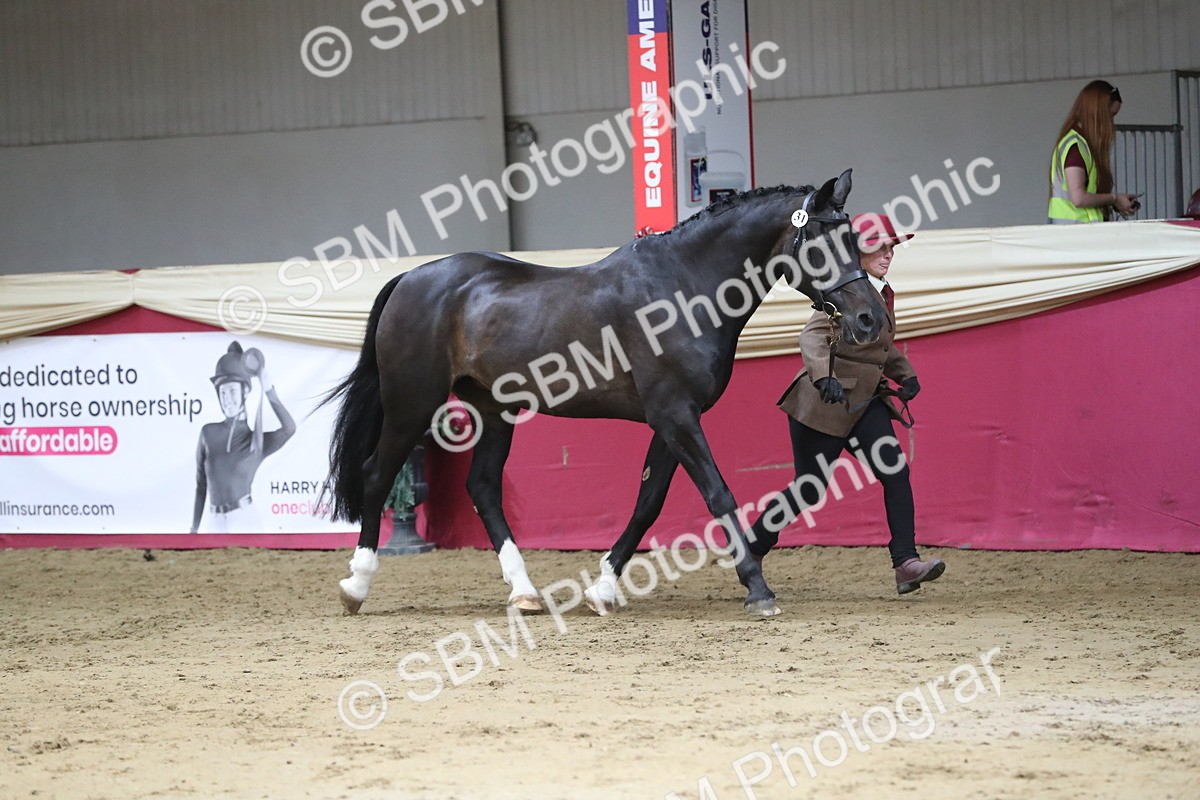 SBM_04392 - Class 7R Regional - IH Diamond