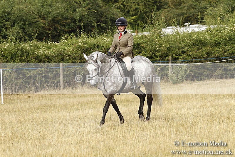 _BS_0574 - BVRC Show 2018 Ring 3