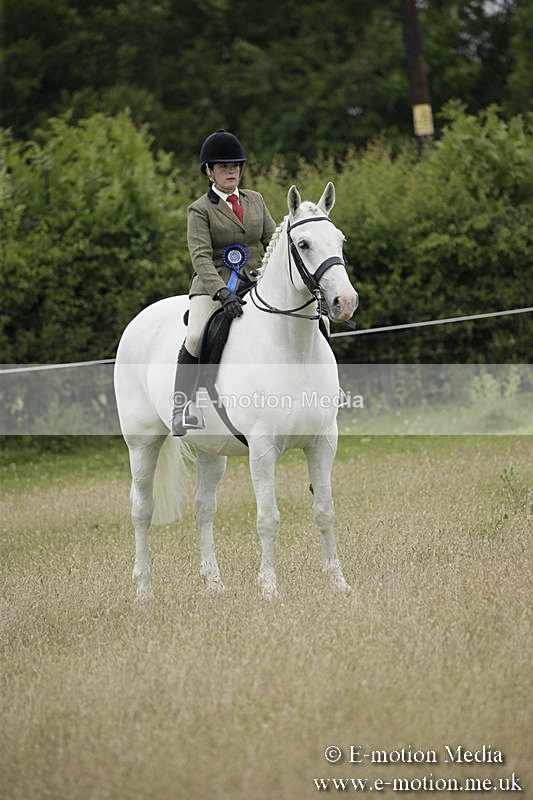 B230619-0799 - Bourne Valley Riding Club Summer Show 23/06/19