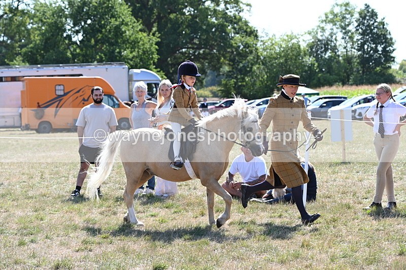 WJ6_7753 - Class 36 Lead Rein