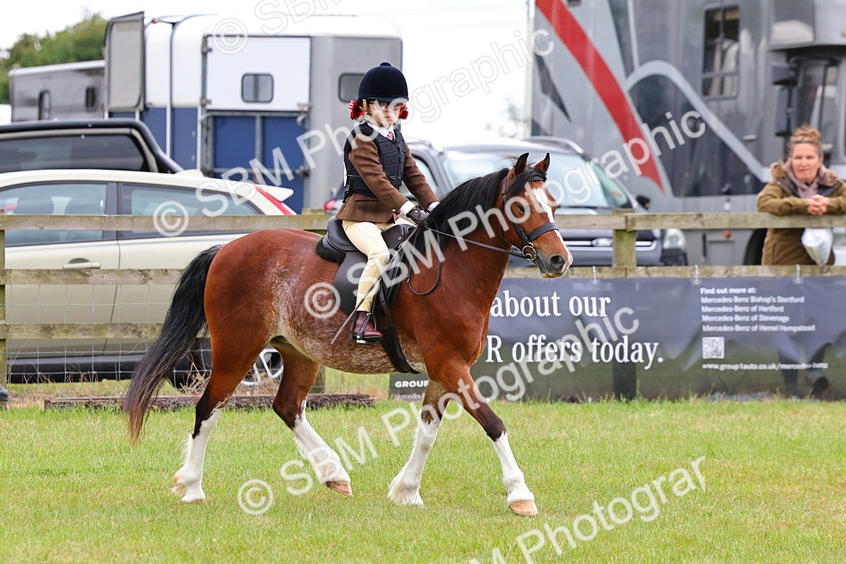SBM_08767 - Class 42-43 - LIHS BSPS Heritage Working Sports Pony