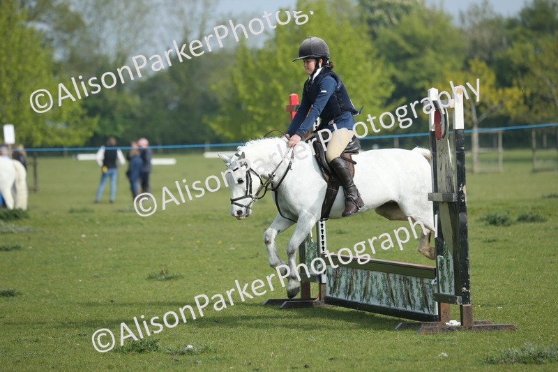 20260426-0101 - Class 13 - Rookie Jumping 50cm