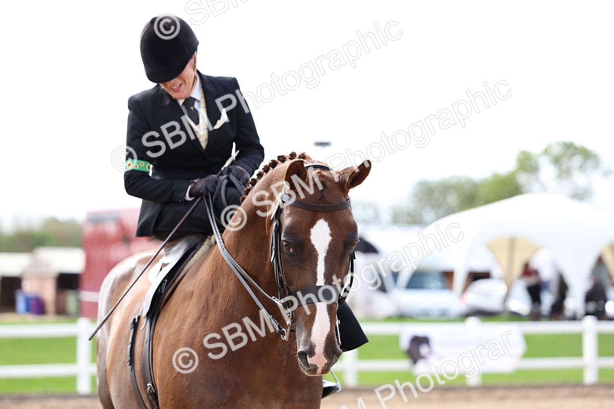 SBM_03230 - Class 22 - SSA Equitation (any age)