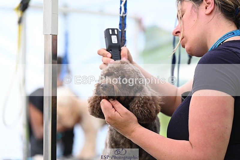 240525-114748-12624 - Candid and Saturday Hobby Horse