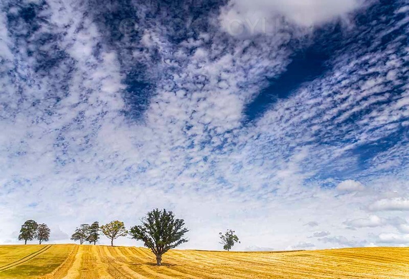 Harvest sky fireworks - TIPPERARY