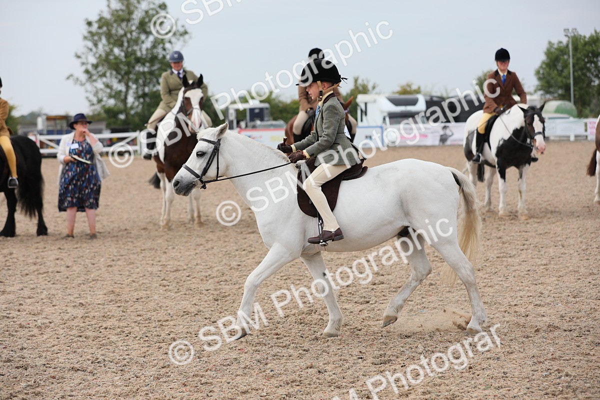 SBM_16914 - Class 314 Family Horse/Pony