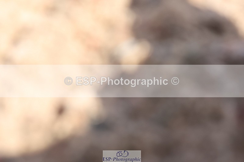 240622A-101359-07982 - Cls 26 BD Novice 22