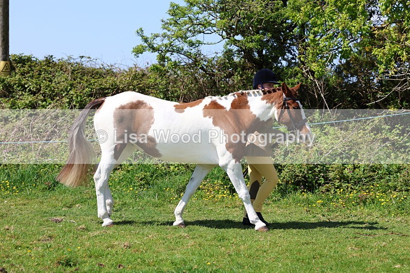 3E7A0232 - Class 19: Best Coloured in Hand