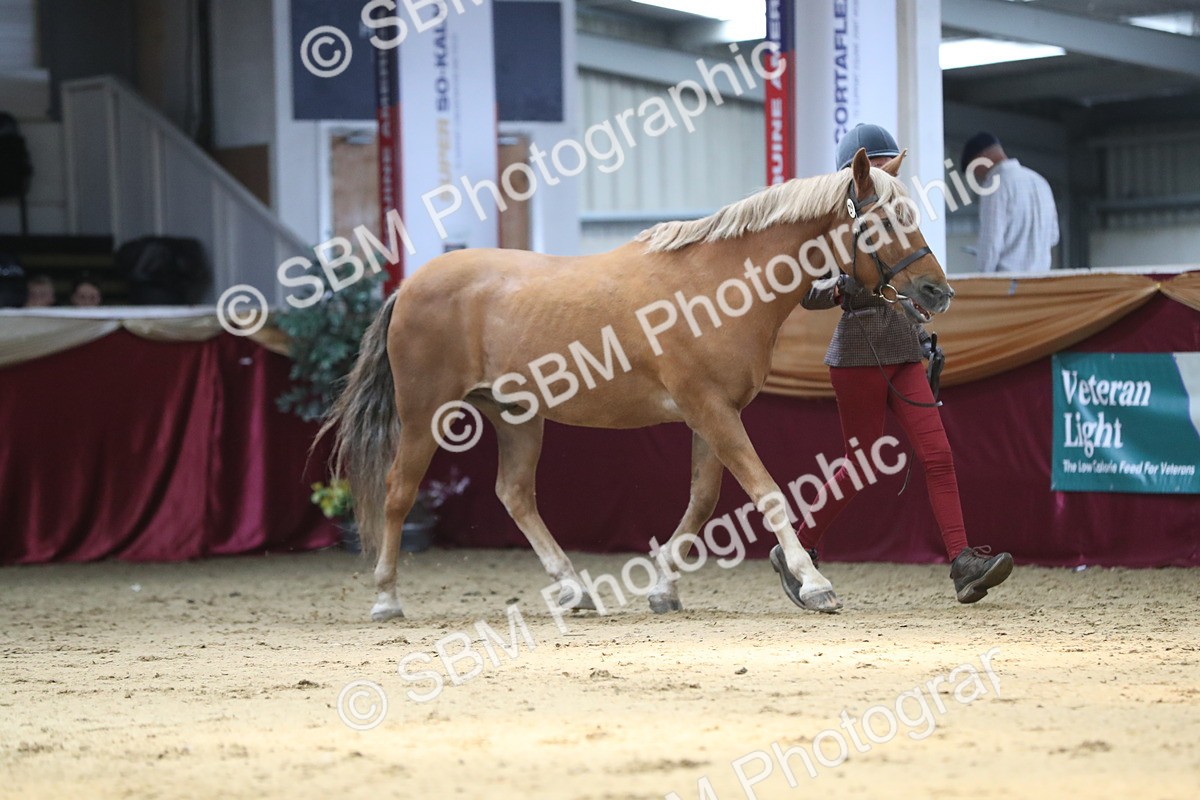 SBM_04379 - Class 7R Regional - IH Diamond