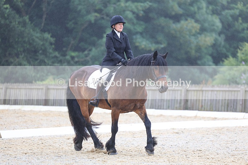 3E7A8138 - Class 1: Intro 3 2024 section A