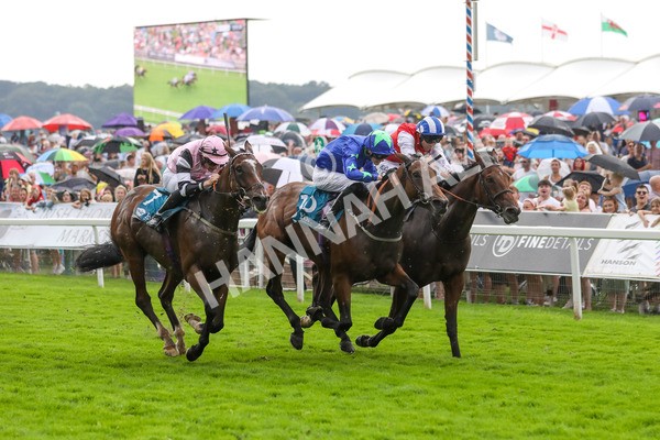 100923-Race 6-Anjo Bonita-3999 - Race 6 4.25pm Hanson Springs 60th Anniversary Handicap at York