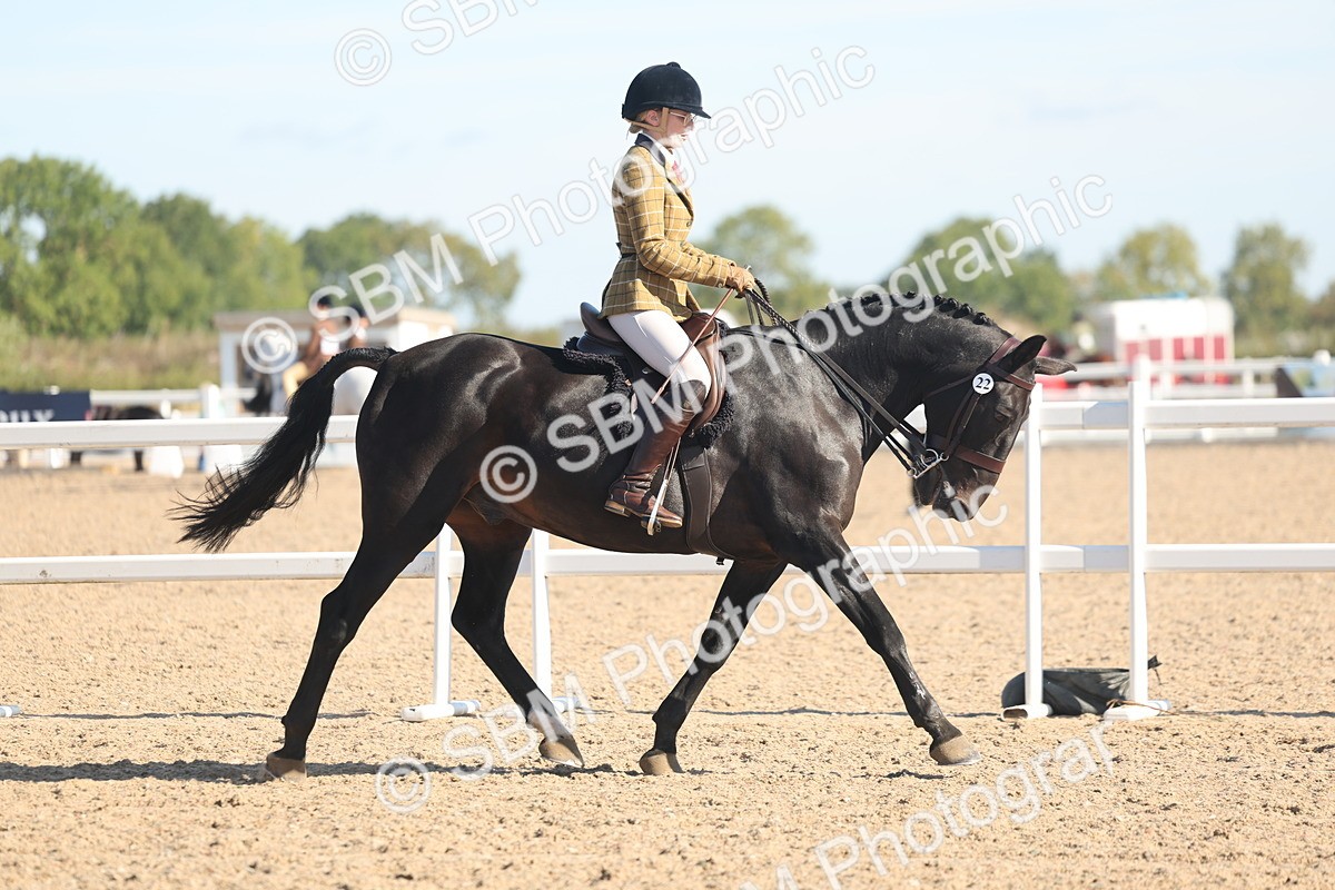 SBM_12280 - Class 304 - Ridden part Bred Horse Pony