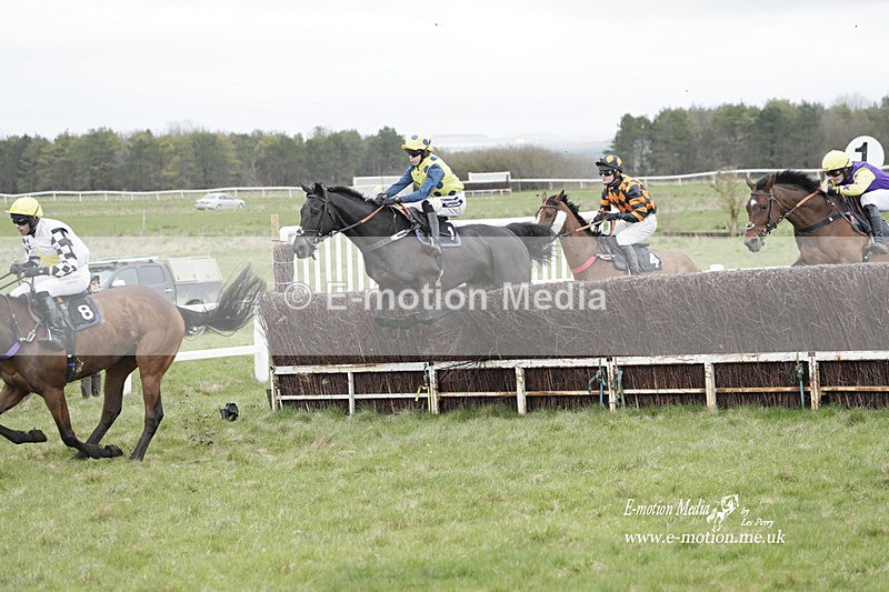 PtP 260323 0808 - New Forest Hounds Point-to-Point Larkhill 26/03/23