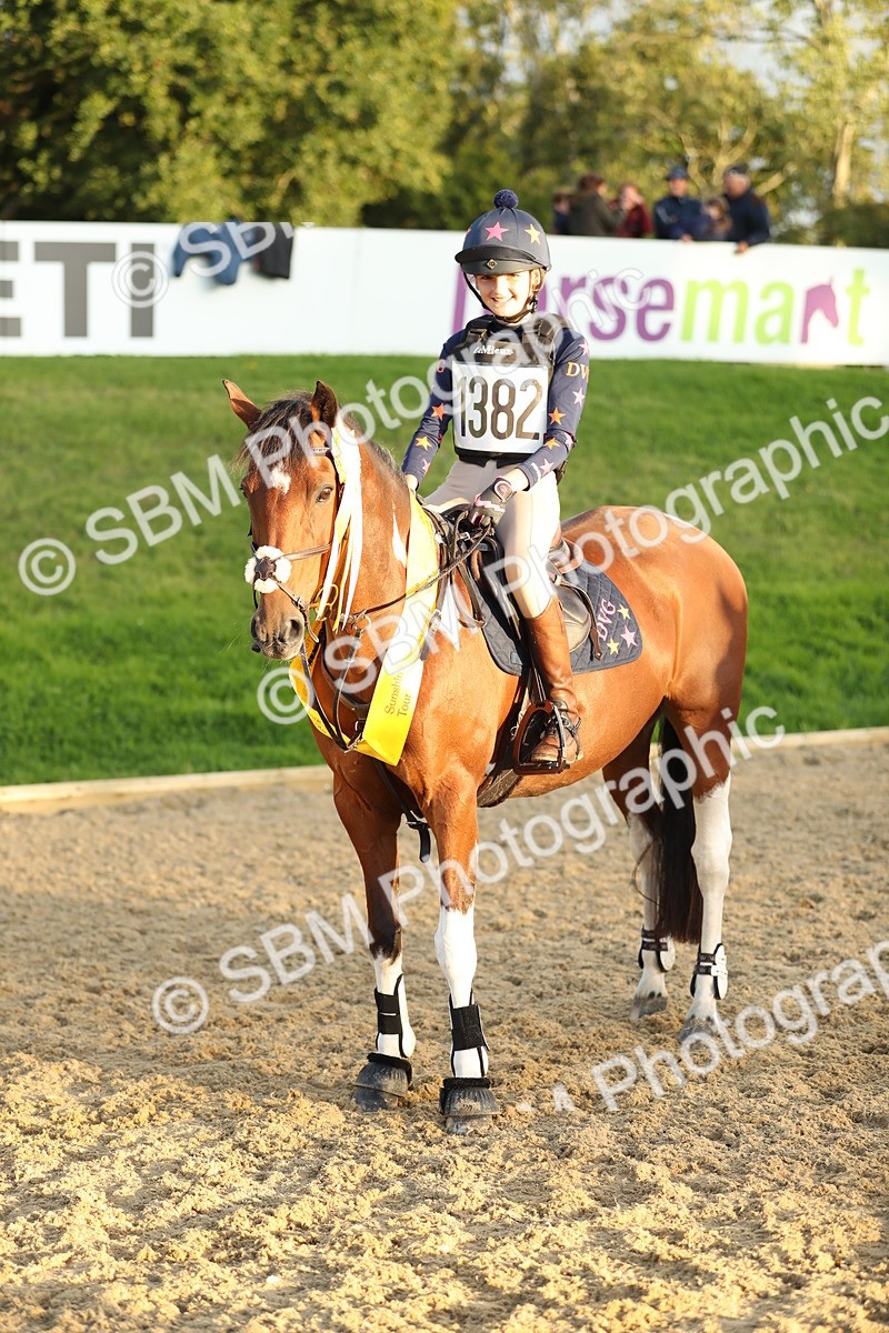 SBM_30854 - E11 - Eventers Challenge 80cm Championship