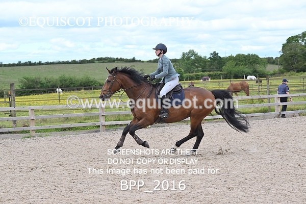 BPP_2016 - CLASS 19 SUN Senior Discovery/ 1m Open
