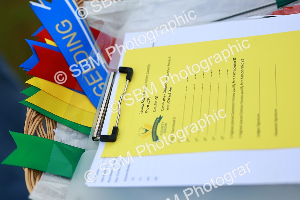 SBM_00246 - Class 58-67 - M&M Non Welsh Pony In hand