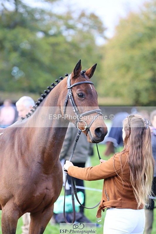 251026A-103135-23071 - E-384-Holly.Horton