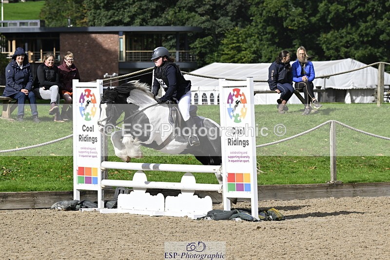 251005A-121519-03689 - Cls 08 Mini 70-75cm