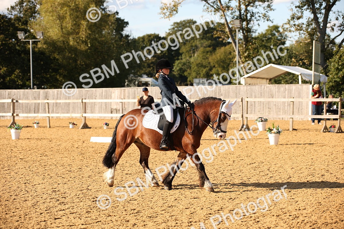 SBM_28338 - D11 - Small Tour Championship - Prelim 13