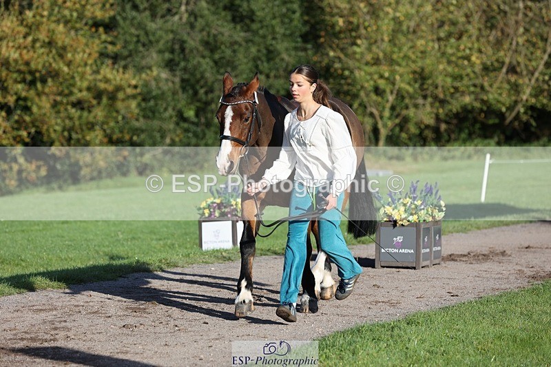 241027-091929-15209 - 375-Erin.Brown-50.SHADES.OF.BAY