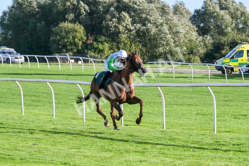 080926-Race 8-Zimmerman-3515 - Race 8 5.51pm Racing Again 30th September Amateur Jockeys' Handicap