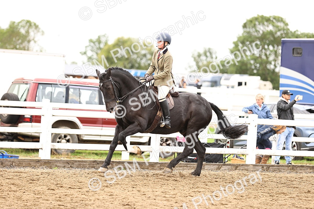 SBM_01375 - Class 54 - Riding Club Horse Pony