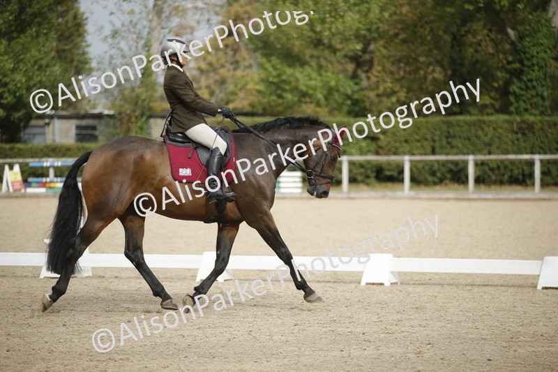 20260913-0232 - Class 3 - Novice 5