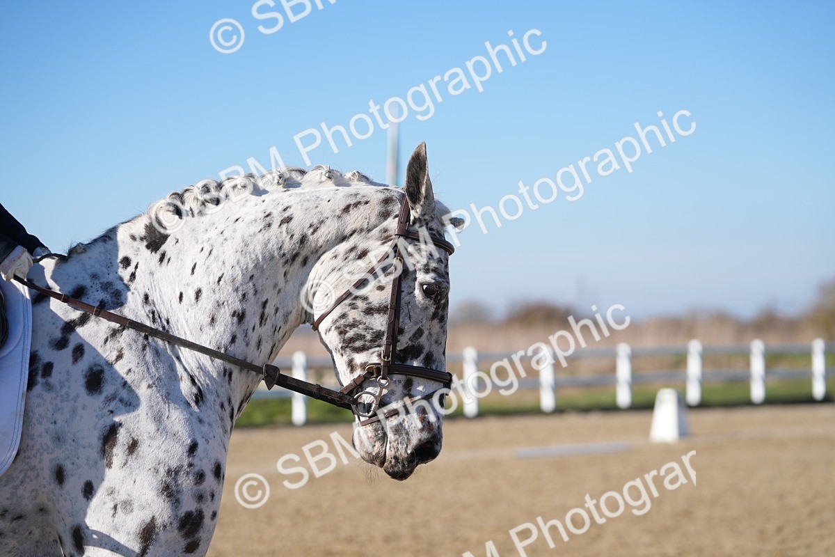 SBM_004258 - Class 3 - P2-80cm - E1