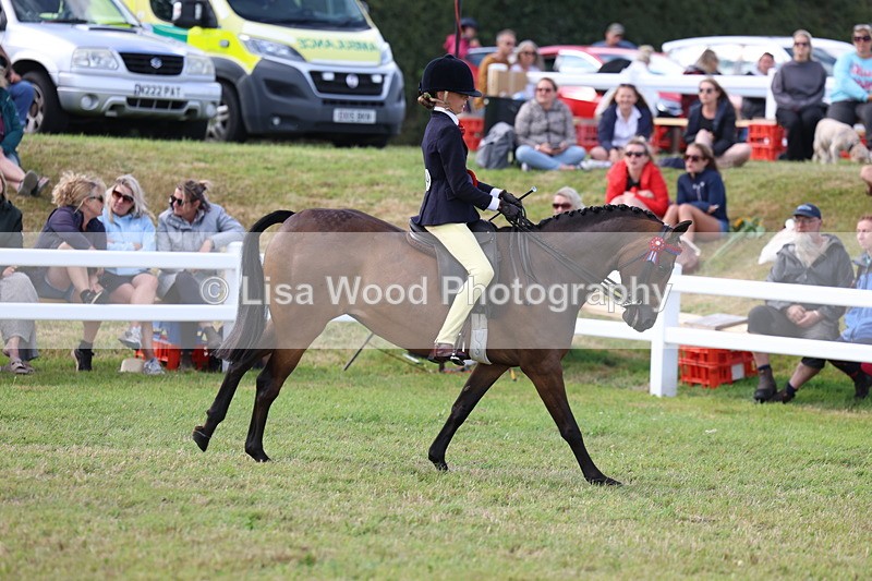 3E7A3850 - Supreme Championship