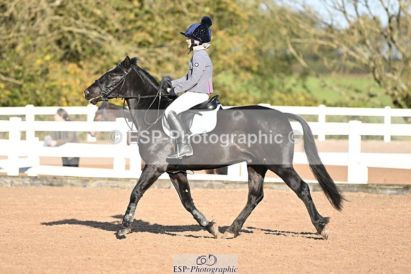 241026A-101136-00069 - SAT Cls 3 Pony Intro 70cm